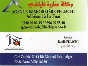 agents immobilier Alger FELIACHI
