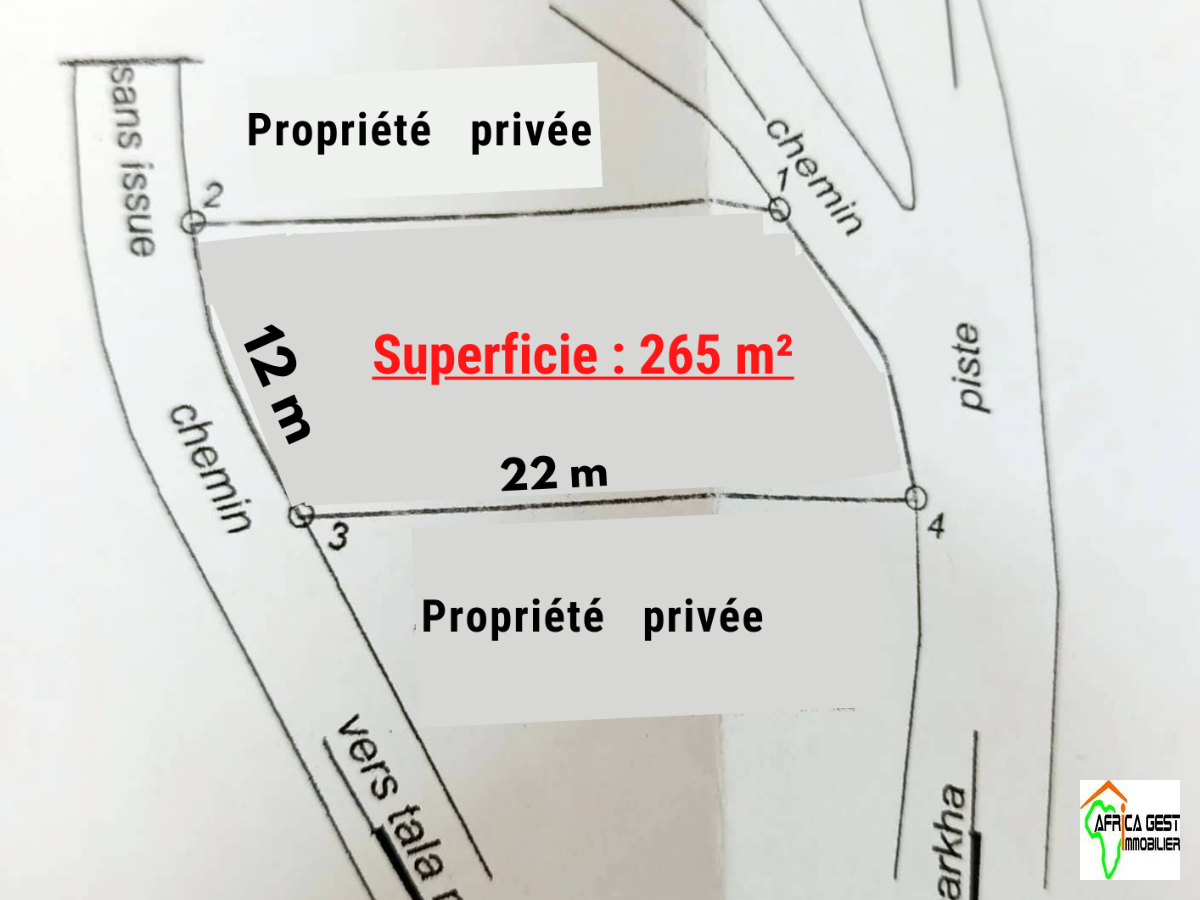 photo principale