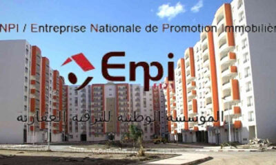 pdg enpi promotion immobiliere