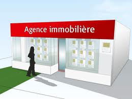 agrement agent immobilier en algerie