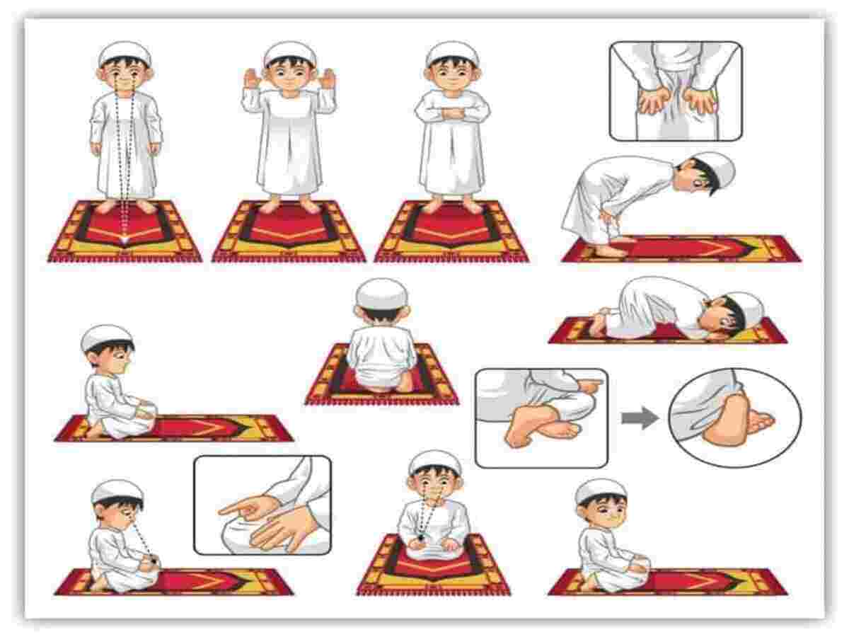 Prière en islam Enseignements, Sourates et Prosternation