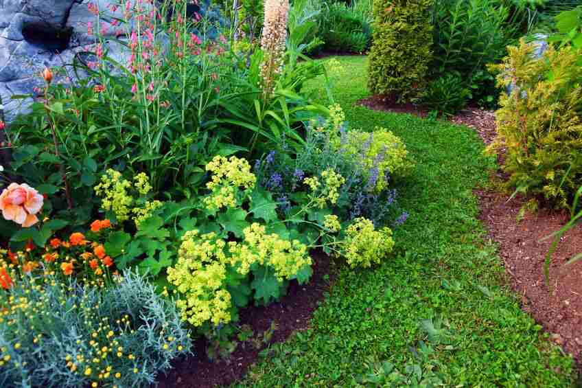 accès au petit jardin