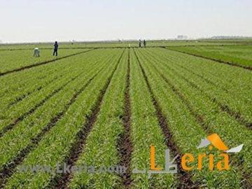Annulation transfert terrain agricole vers l