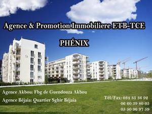  PHENIX
