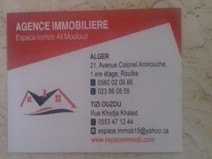 agents immobilier Tizi Ouzou ESPACE IMMOB AIT MOULOUD