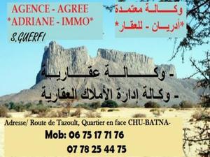 agent immobilier Batna ADRIANE-IMMO