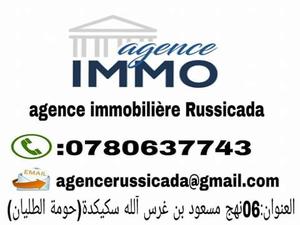 agent immobilier Skikda RUSSICADA