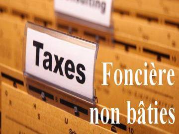 Taxe foncière sur les propriétés non bâties