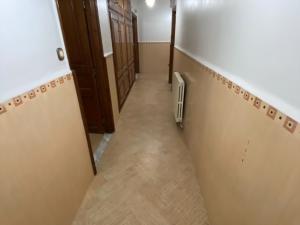 appartement alger