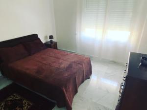 location appartement alger