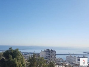 vente appartement alger