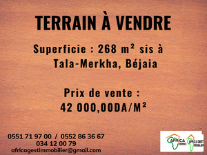 vente terrain