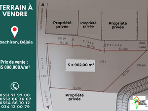 vente terrain