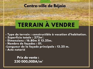 vente terrain