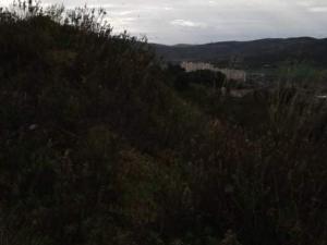 annonce Terrain
