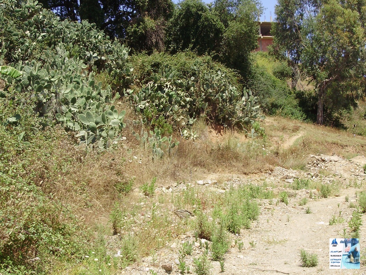  Vente  Terrain Skikda à Skikda