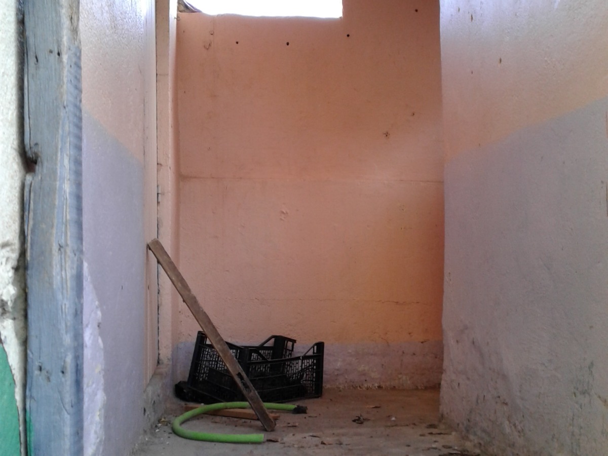 Vente  Appartement Azzaba à Skikda