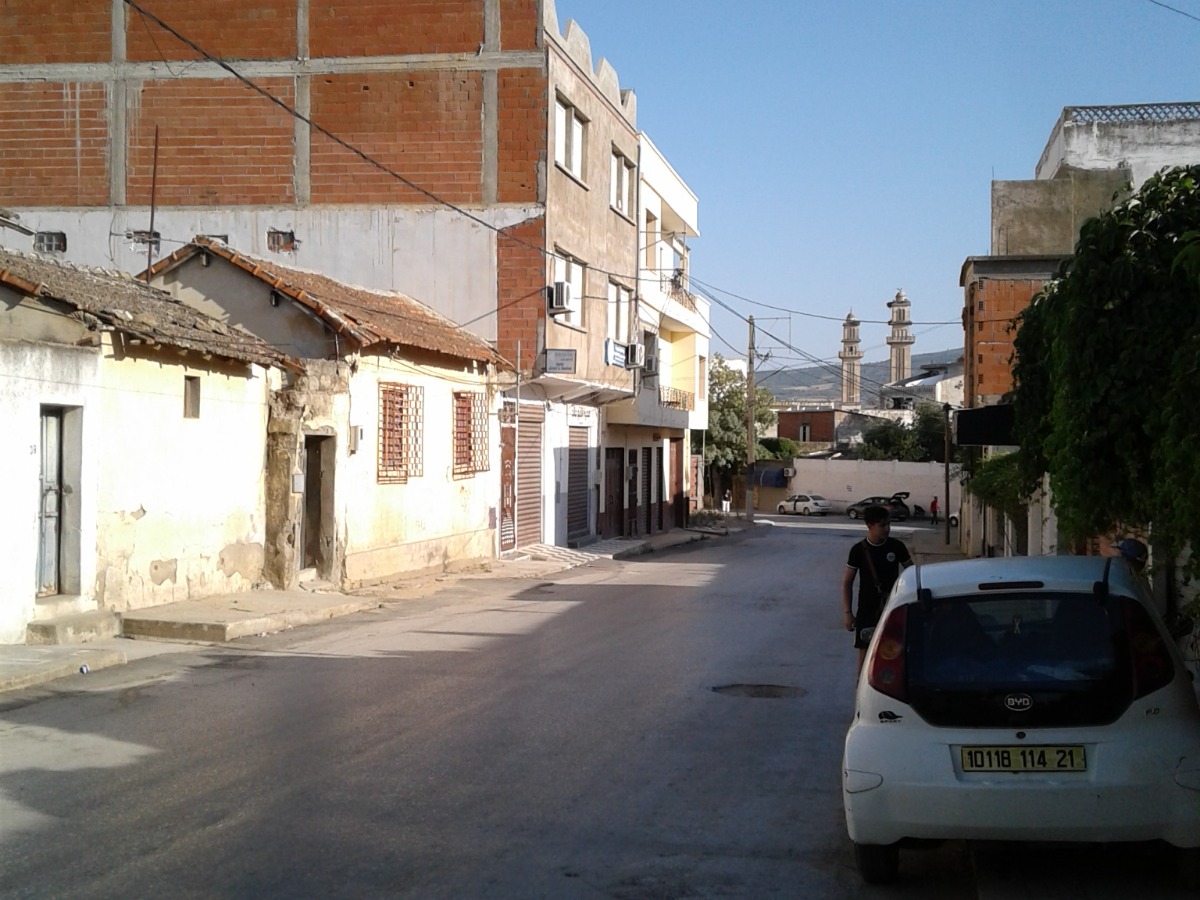 Vente  Appartement Azzaba à Skikda