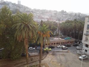 vente skikda