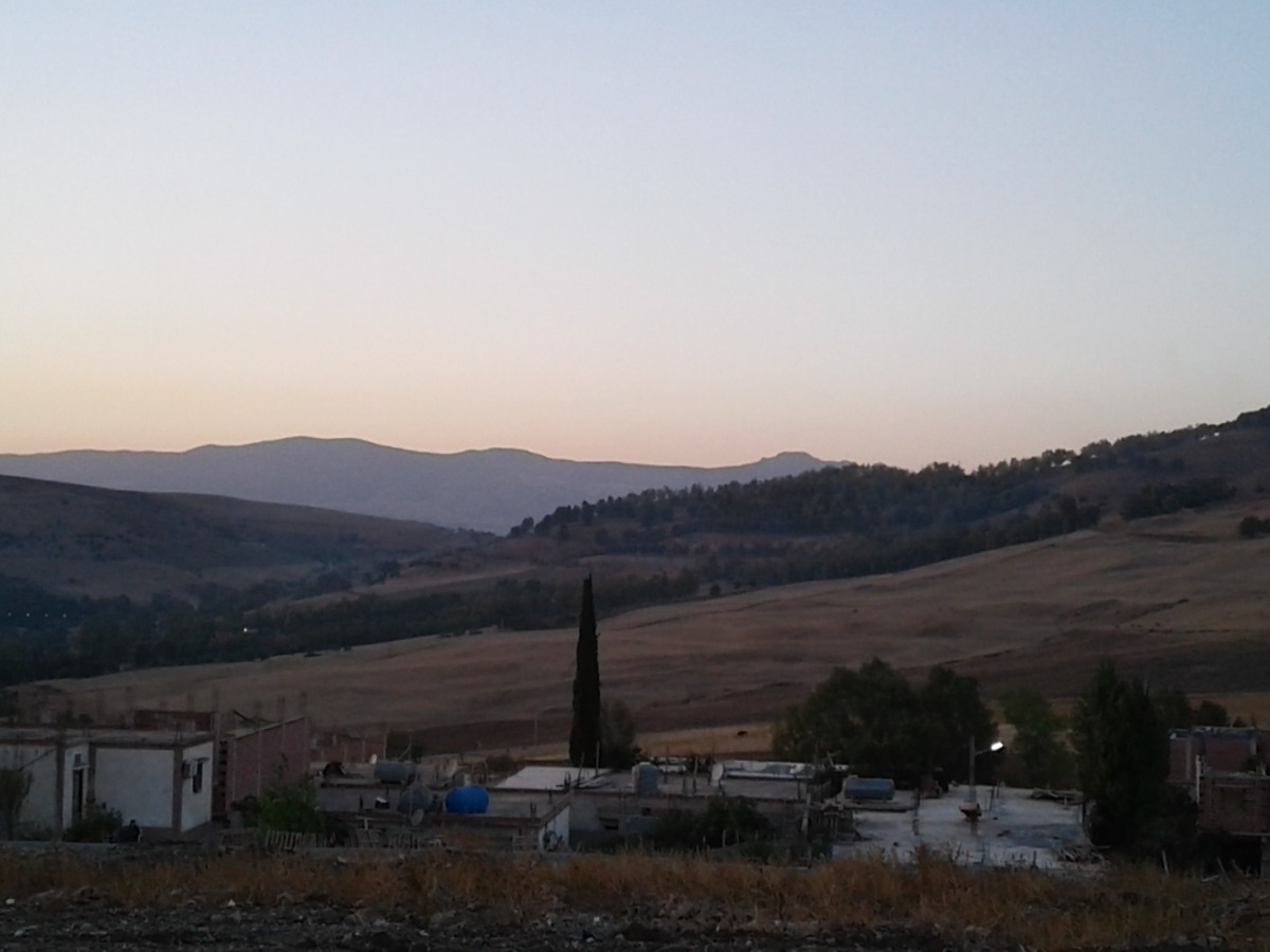 photo principale