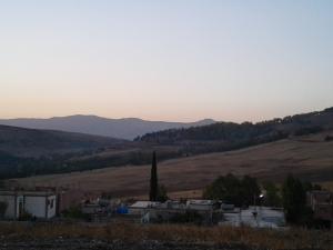 terrain constantine