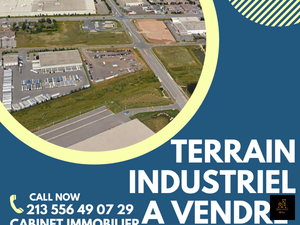 vente terrain