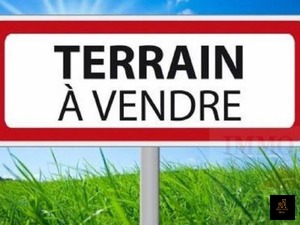 vente terrain oran