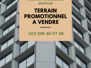 vente terrain oran