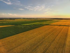 vente terrain agricole