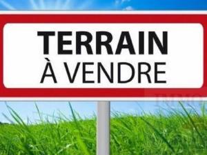 vente terrain oran