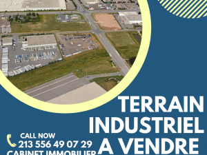 vente terrain