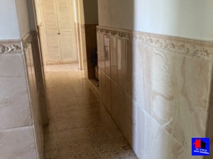 vente alger