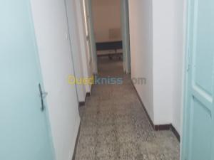 appartement alger