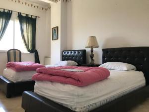 appartement alger