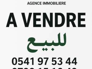 vente appartement alger