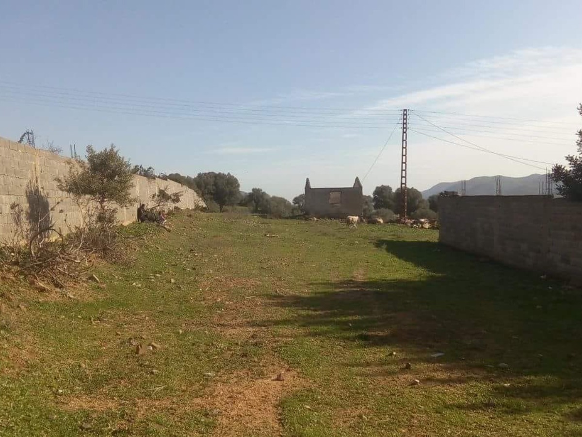  Vente  Terrain agricole Béjaia à Béjaïa