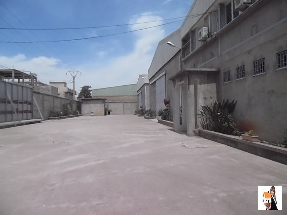  Location  Hangar Dar El Beida à Alger