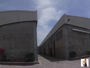 hangar alger