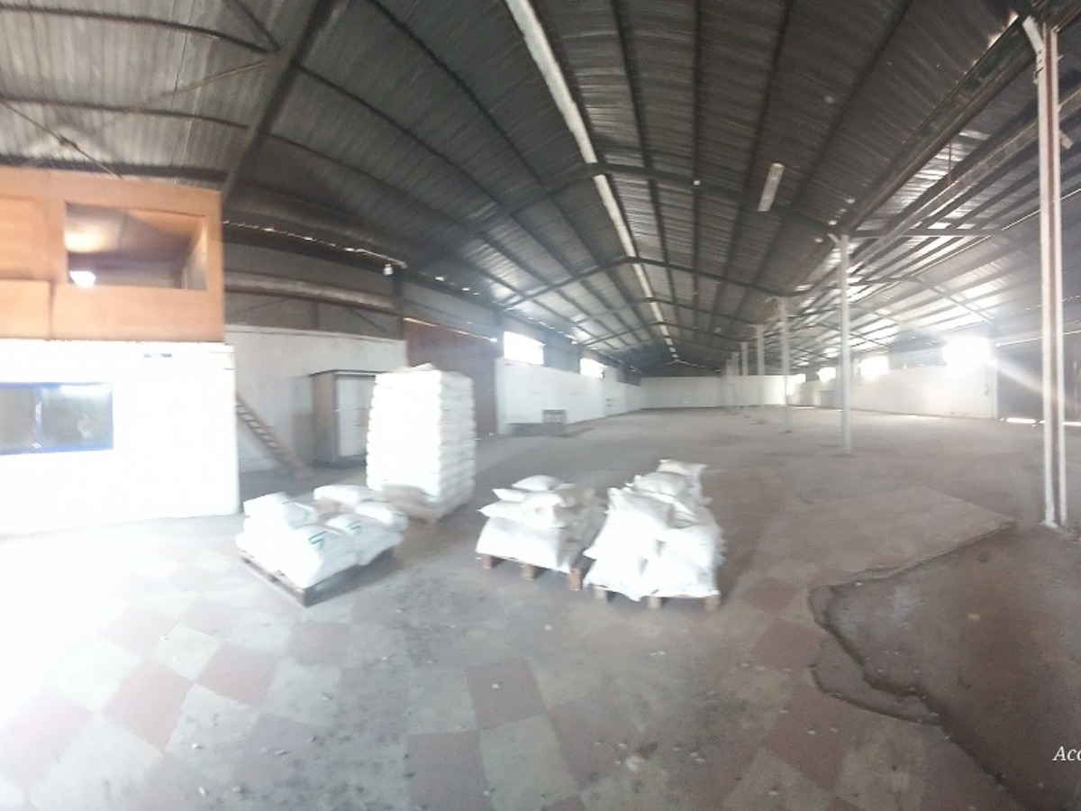  Location  Hangar Bab Ezzouar à Alger