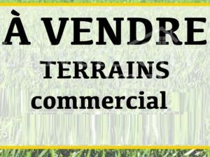 vente terrain alger