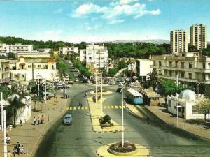 vente terrain alger