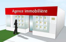 agence-immobiliere-algeries