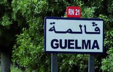 logement-guelma