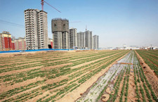 beton-verdure-oran